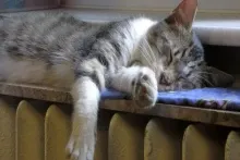 Qışda evin istilik xərclərini  necə azaltmaq  olar? - Ən effektiv ÜSULLAR