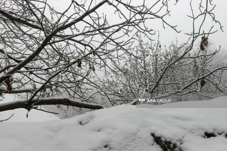 Naxçıvana 25 sm qar  yağdı