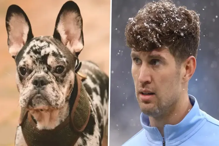 Bernardo Silva itinə komanda yoldaşının  adını verdi