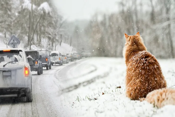 10 dərəcə şaxta olacaq  - Sabahın havası 