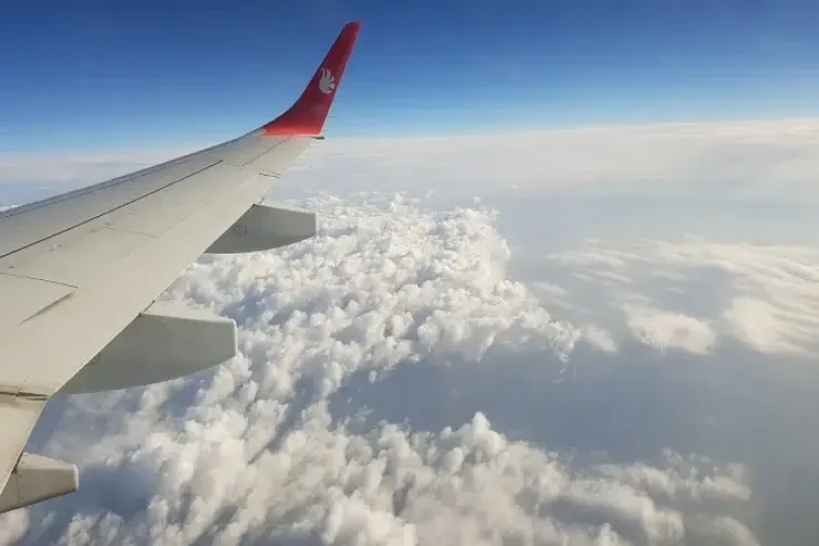 Niyə təyyarələrdə pomidor şirəsi  verilmir?