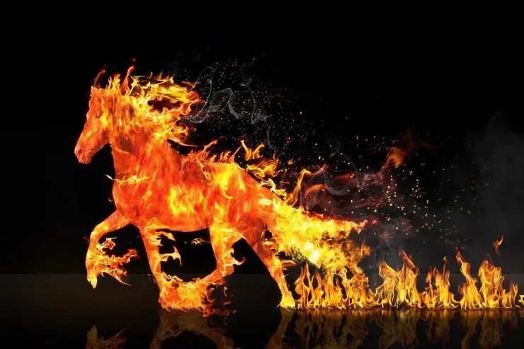 2026-cı ilin himayədar heyvanı:  Hər BÜRCÜ nə gözləyir? 