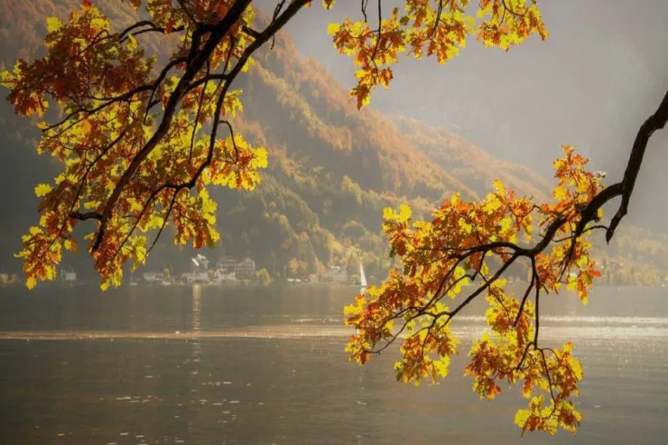 Sabah qış havası  olmayacaq - PROQNOZ 