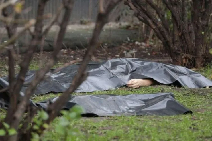 Qəbələ meşəsində FACİƏ:  üstünə ağac aşan kişi ÖLDÜ 