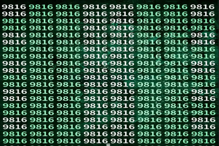 Yalnız qartal gözlü insanlar 9876 rəqəmini  15 saniyədə tapa bilərlər