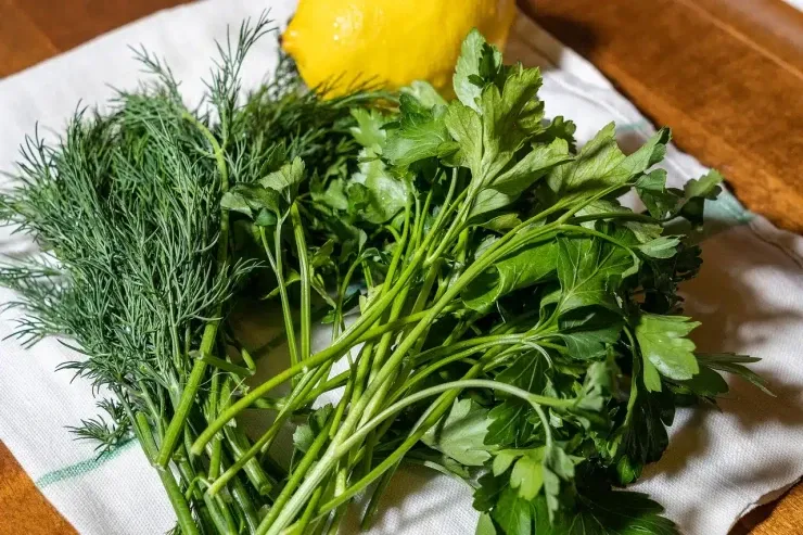 Təzyiqi sürətlə normallaşdıran və qanı duruldan göyərti 