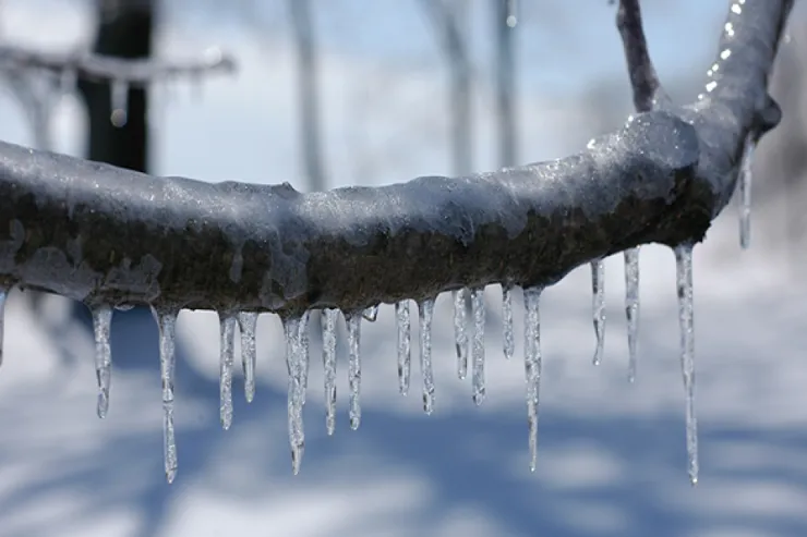 10 dərəcə şaxta  olub - FAKTİKİ HAVA
