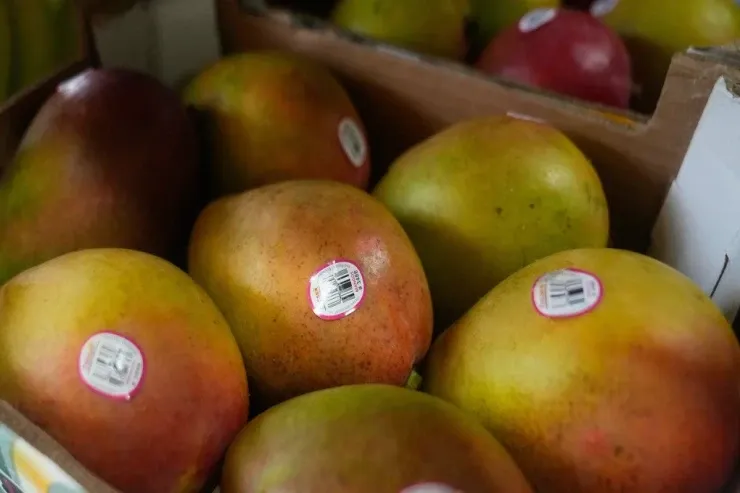 Bu meyvələr qaraciyəri alkoqoldan da pis  məhv edir