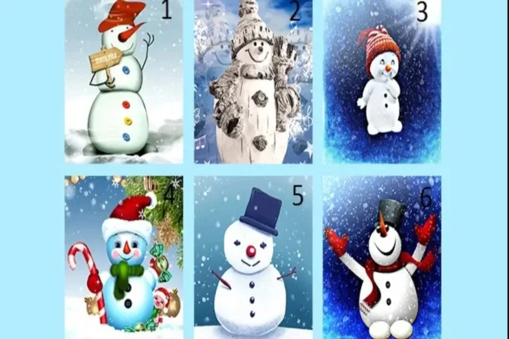 Qar adamı  seçin, bu qış sizi nə gözlədiyini  öyrənin: Yeni il TESTİ 