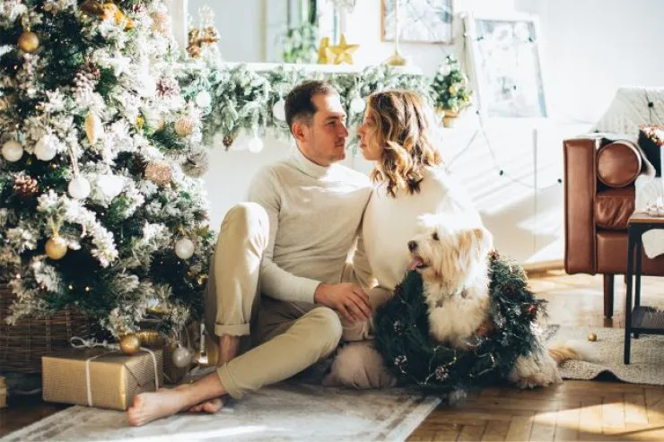 Yeni il möcüzəsi  yaxındır: 4 BÜRC əsl sevgini  tapacaq