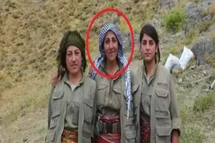 PKK-nın iki əsas üzvü  məhv edildi  