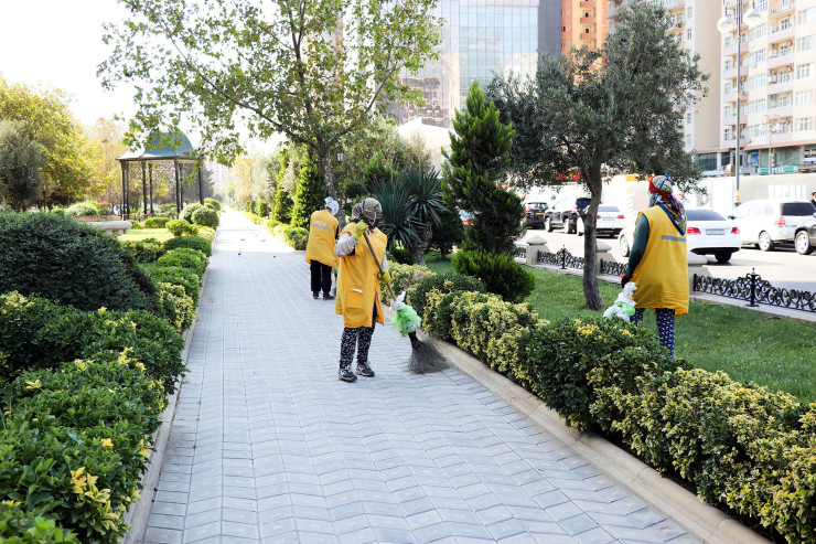 Bakıda süpürgəçi parkda öldü 