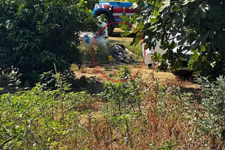 Atasını balta ilə yaralayıb həyatına dəhşətli şəkildə son qoydu
