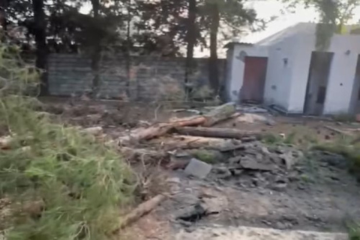 Zaqatalada AĞAC TERRORU:  Polis araşdırmalara başladı - VİDEO 