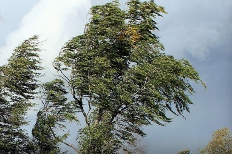 Küləklə bağlı XƏBƏRDARLIQ