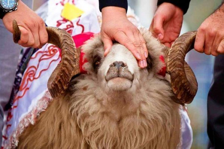 "Şəkəri və təzyiqi olanlara qurban payı  əvəzinə pul verin" - İlahiyyatçı 