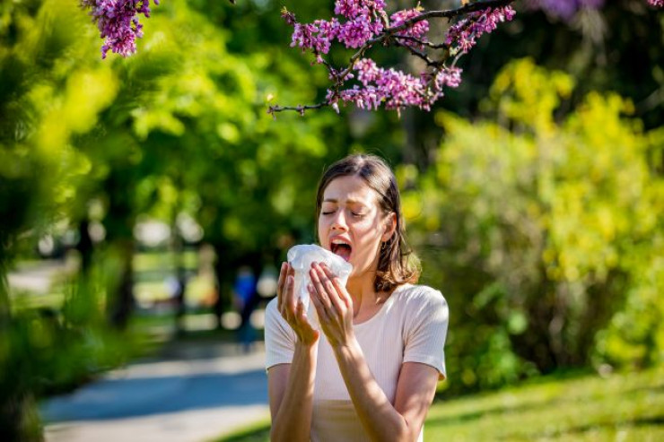 Mövsümi allergiyanı   birdəfəlik unutmaq üçün 7 addım 