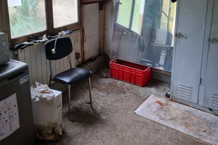 Makronun bağbanı tualetlə bağlı şikayətinə görə  işdən çıxarıldı