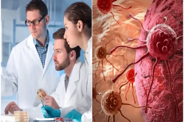 Alimlər xərçəngin müalicəsində yeni yanaşmanı  araşdırıblar
