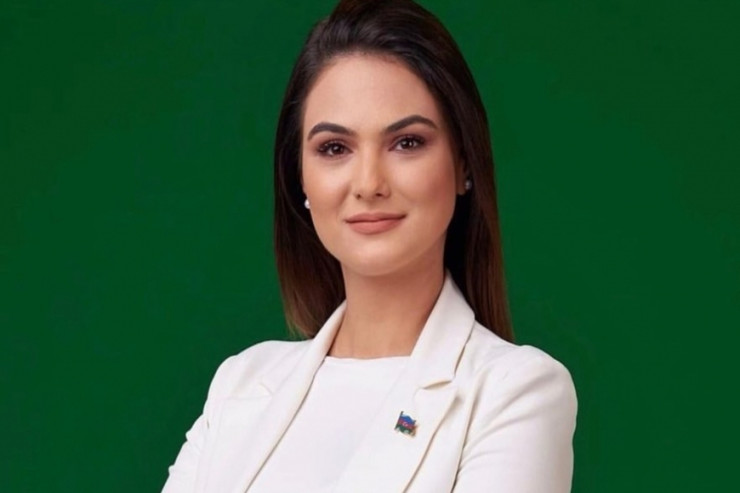 Tanınmış teleaparıcıya qarşı TƏXRİBAT: onun adı ilə yazışdılar