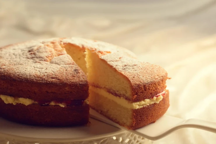 Yumşaq biskvit tortu - RESEPT 