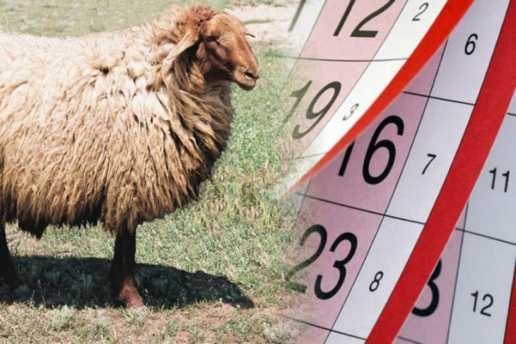 Qurban bayramında 4 gün iş olmayacaq