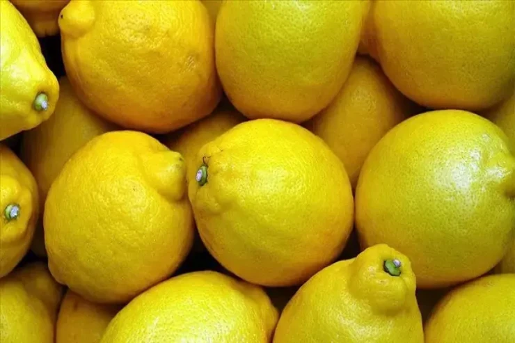 Limonu əsla belə saxlamayın  - Sümüklərinizi yağ kimi  əridir