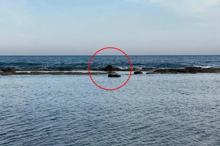 Dənizdə inək leşi görənlər şoka düşdü