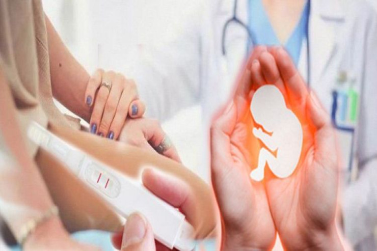 "Donor"luq maskası altında ticarət: "Yumurta" satan həkimlərin işbirliyi, QANUN HARADADIR? -YENİLƏNİB