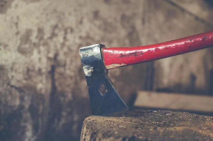 Evə girib yaşlı ər-arvadı  baltaladı - Dəhşətli QƏTL 