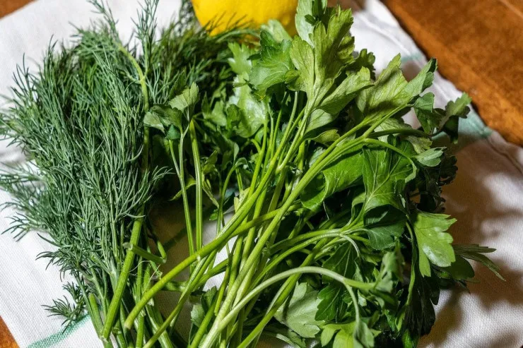 Göyərtiləri dondurmadan  təzə saxlamağın yolu 