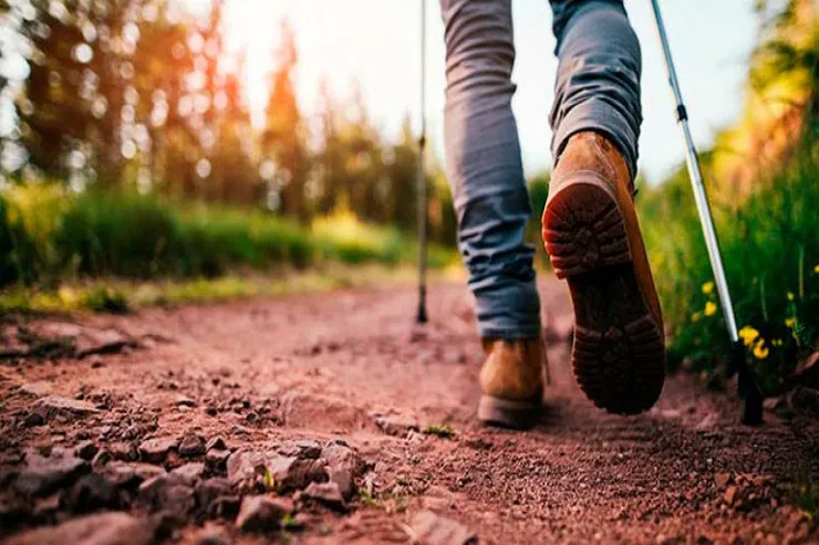 Addımsayar proqramına görə İŞDƏN QOVULDU 