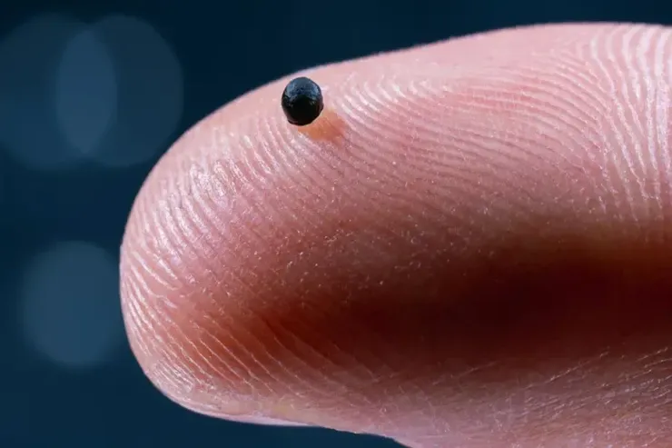 Damarlarla müəyyən toxumalara dərman çatdıra bilən mikrorobotlar  uğurla sınaqdan keçirildi