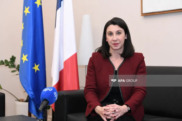 Hər iki ölkə daha güclü əməkdaşlıq  arzusundadır - Fransa səfiri