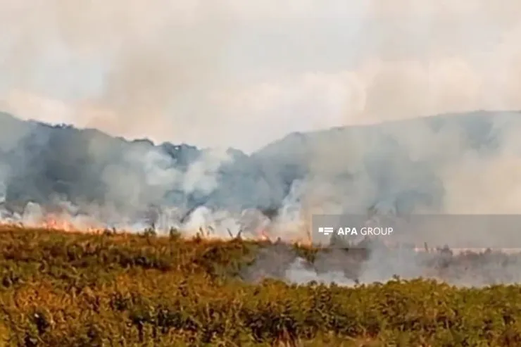 Gədəbəydə dağlıq ərazidə yanğın oldu