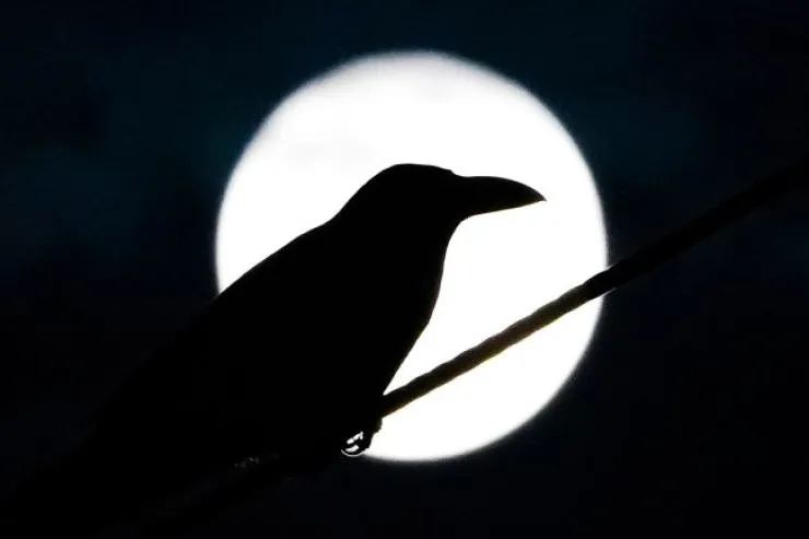 İlin sonuncu Tam Ayı  bu BÜRCLƏRİ ən xoşbəxt  edəcək: "ağ zolaq"  nə vaxt başlayacaq?