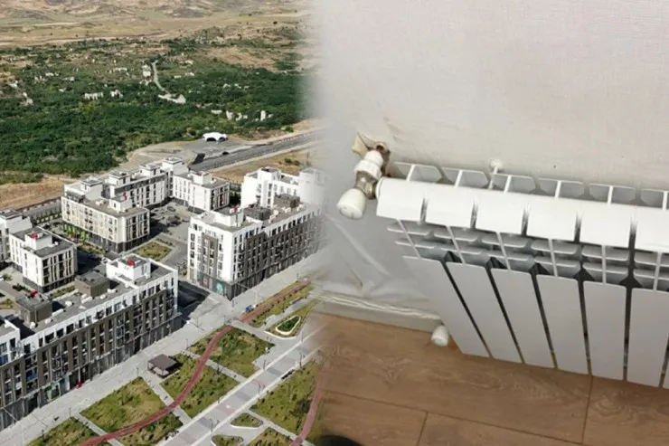 Böyük Qayıdışa kölgə salmaq, yoxsa vətəndaş ərköyünlüyü? 