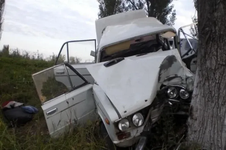 Şəkidə "Jiquli" ağaca çırpıldı, xəsarət alan var 