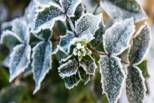 Hava soyuyur, 2 dərəcə şaxta olacaq  - Sabahın PROQNOZU 