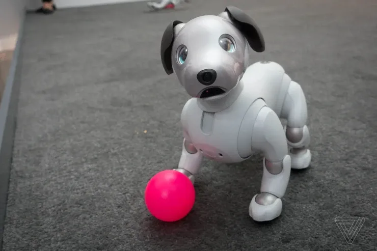 Bu robot it ev heyvanı   kimi tanındı