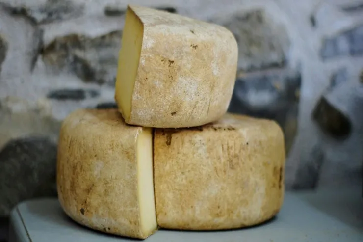 Parmesan pendiri  əslində nədən hazırlanır? - Sizi şoka salacaq  HƏQİQƏT
