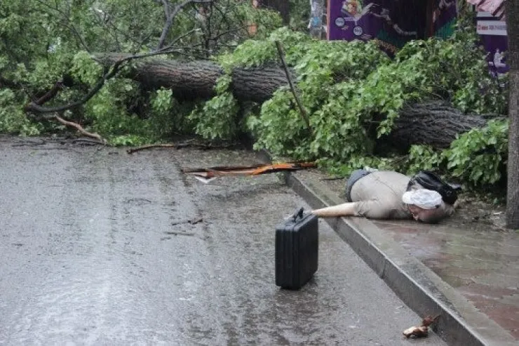 Bakıda FACİƏ:  güclü külək ağacı insanların üstünə aşırdı, yaralılar var