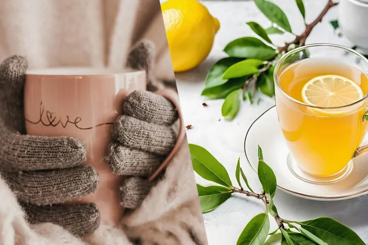 Niyə yaşıl çayı limonla içmək lazımdır? 