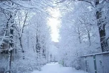 Hazırda bu rayonlara qar yağır   - FAKTİKİ HAVA