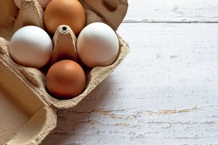 Doğrudanmı, qəhvəyi toyuq yumurtaları  ağlardan daha faydalıdır?