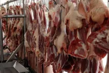 Azərbaycanda ət niyə bahalaşdı?  - Ekspert səbəbləri AÇIQLADI