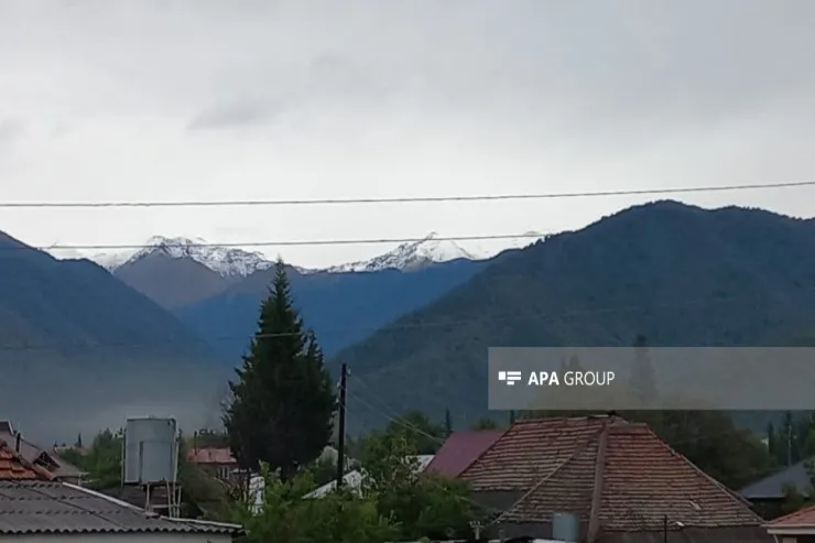 Zaqatalaya qar yağdı - FOTO 