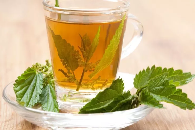 Yüksək qan təzyiqinə qarşı  ən faydalı bitki çayı 