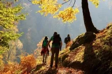 Sabah istirahətiniz üçün istədiyiniz  hava olacaq - PROQNOZ 