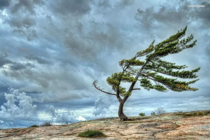 Güclü külək olacaq -XƏBƏRDARLIQ 